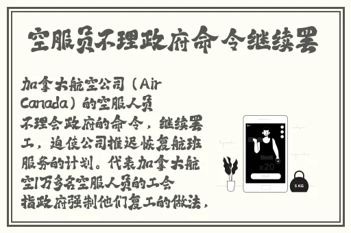 国产精品v片在线观看不卡